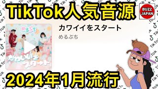 【TikTok】2024🇯🇵バズった音源【カワイイをスタート】