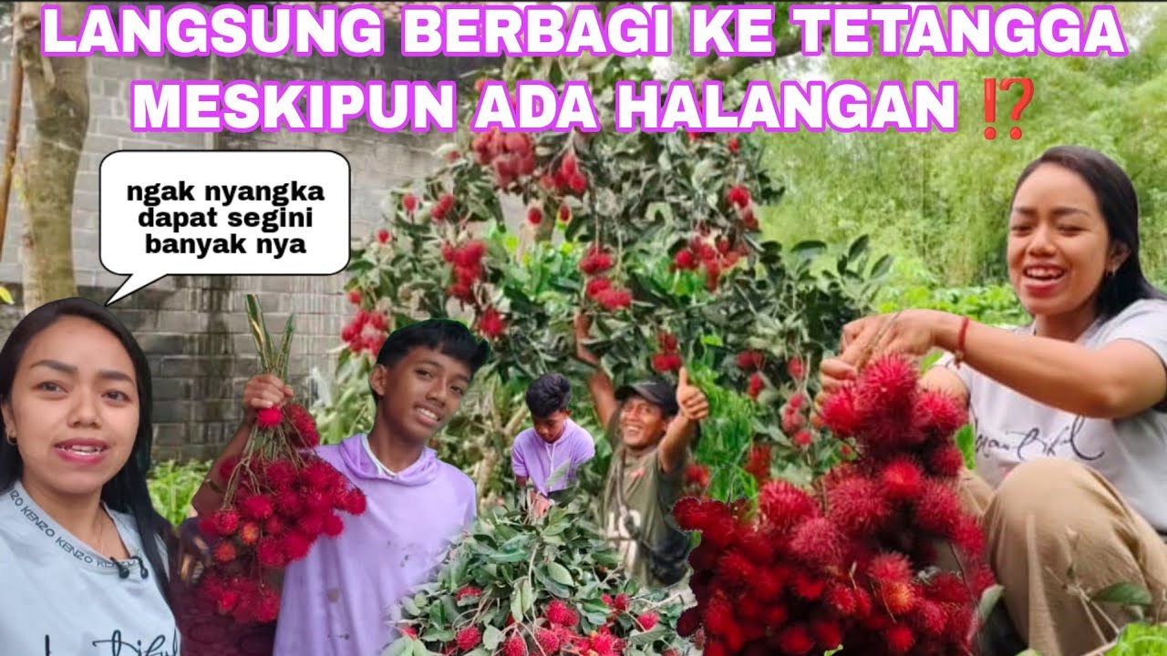 LANGSUNG BERBAGI KE TETANGGA MESKIPUN ADA HALANGAN & TETAP SEMANGAT