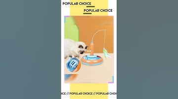 Feathered 2-In-1 Interactive Cat Toy