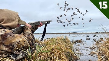 COVERED UP In HUGE FLOCKS Of DUCKS (Limited Out) | Duck Hunting 2025