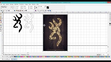 Torchmate Accuscan & Vectorization