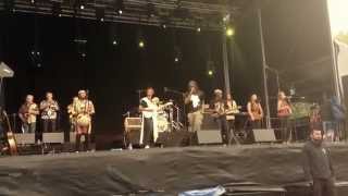 Tiken Jah Fakoli - War inna Babylon - Lloyds Park, london,