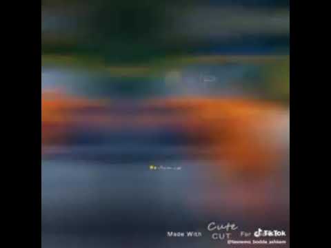 عيشة مره جوا برة كلو عالبعض 