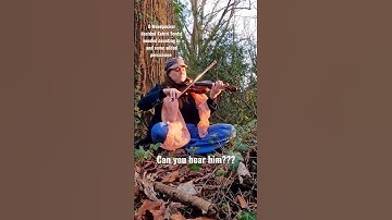 Thumbnail of Kokiri Forest with a Woodpecker #shorts