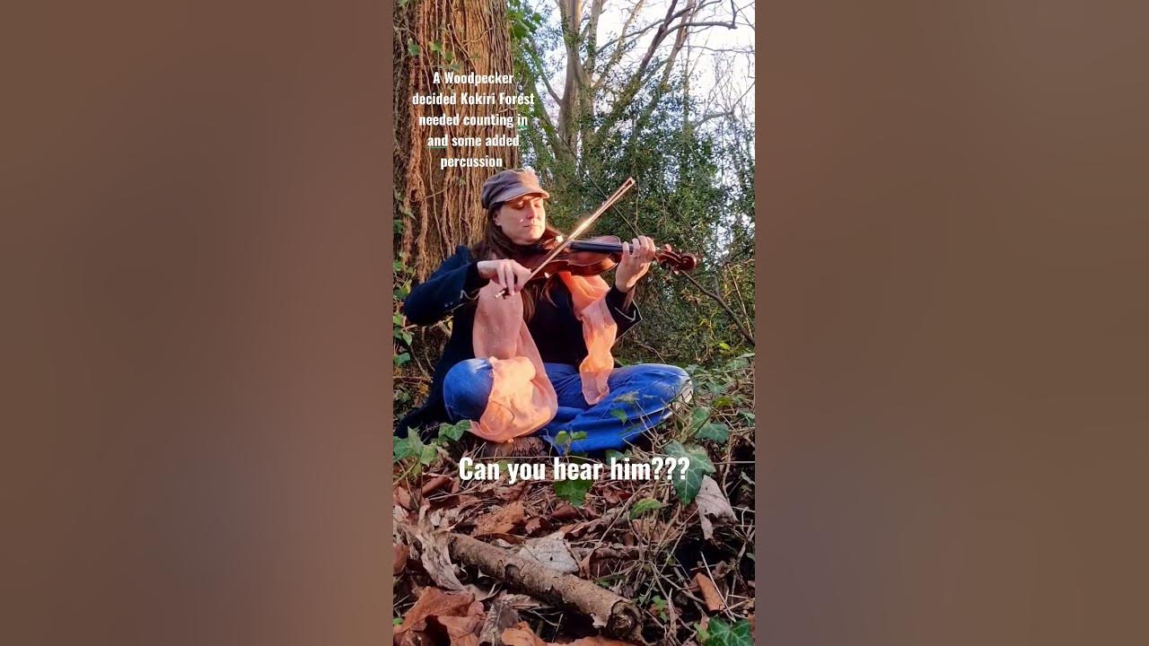 Kokiri Forest with a Woodpecker #shorts Kokiri Forest with a Woodpecker #shorts