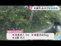 緊急銃猟でクマを駆除　宮城・大崎市　仙台市はクマ対策でＡＩカメラを設置