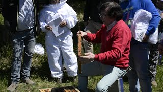 Visita Técnica - Cría de zánganos  (2020)