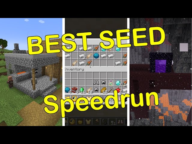 First Minecraft 1.19 Speedrun