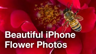 نصائح للحصول على صور زهور جميلة فون