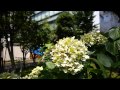 Panasonic GH2 Hack natural_standard 7-14mm
