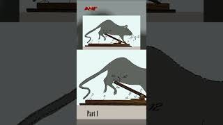 Top 7 Horrifying Mousetrap Part 1 Amf