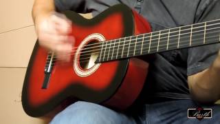 Violao Acustico Barth Guitars – Nylon mod. Estudante - RB