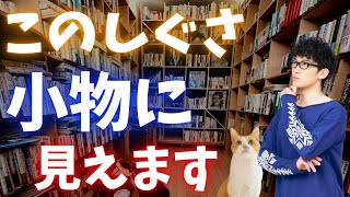 あなたの動きを2割だけ〇〇してください、小物に見られなくなります。