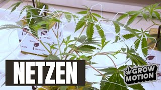 Netzen Tutorial - Einfach erklärt 