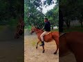 #bhojpuri #viralreels #horseriding #raning #goodnight #army #raning #rajesh tohara bare methi ke 💪🔥🐎