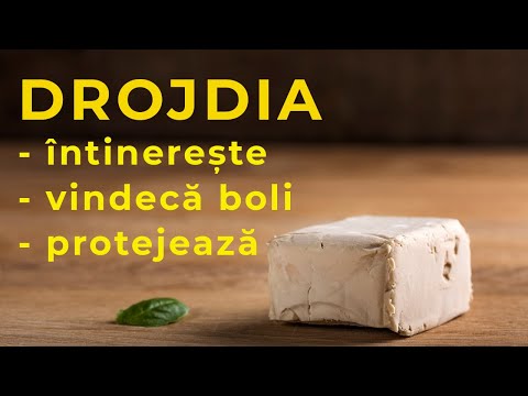 ȘTIAI CĂ DROJDIA DE BERE are beneficii multiple pentru sănătate? [drojdie inactivă - drojdie uscată]