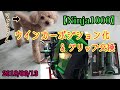 【Ninja1000】ウインカーポジションKIT &GRIP交換