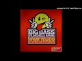 Big Bass vs Michelle Narine - What You Do (Stonebridge Club Mix) *Oldskool House / Niche*