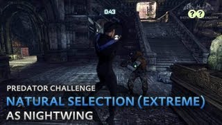 Batman: Arkham City - Natural Selection (Extreme) [as Nightwing] - Predator Challenge