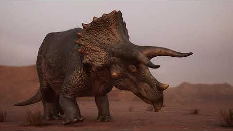 Triceratops Walk Cycle | Alexander Vakarelov