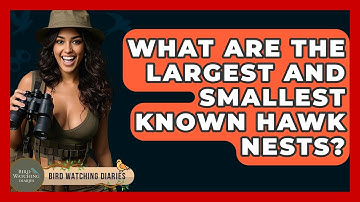 What Are The Largest And Smallest Known Hawk Nests? - Bird Watching Diaries