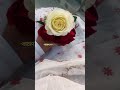 #eveyone 🥰🤍