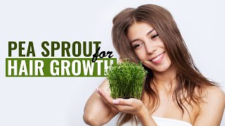 Pea Sprout Extract For Healthy Hair Growth | Natural Formula To Stimulate Hair