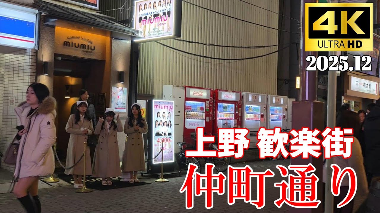 4K Japan】2025.12 上野歓楽街 仲町通り『Nakacho Street, Ueno