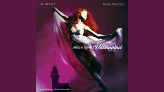 Yıldızların Altında