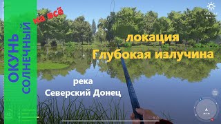 Русская рыбалка 4 - река Северский Донец - Окунь солнечный вместо шемаи