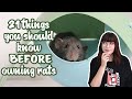 21 things you should know before owning rats!