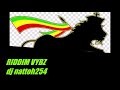 Riddim vibez collection dj nattoh254