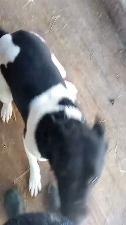 youtube.com