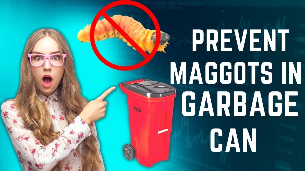 How To Avoid Maggots In Garbage Can (100% Working Methods) - Top Repellents