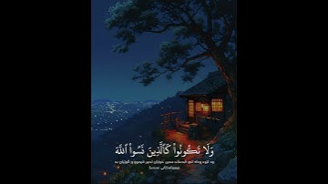 سورة الحشر (الآية ١٨ - ٢٠) القارئ بيشةوا قادر الكردي