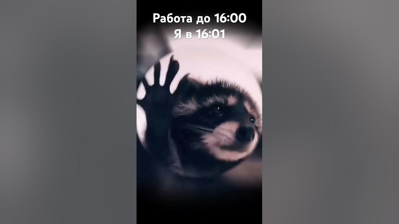 Педро Педро - YouTube