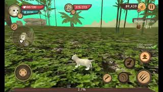 MVI_0242.AVI