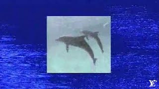 Eco Virtual - Ecco Bay