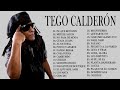 Tego calderon exitos mix lo mejor exitos 2022