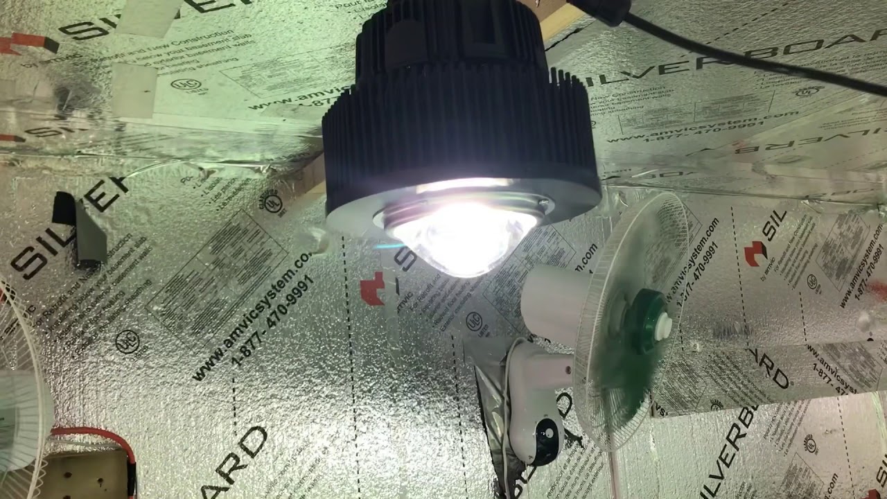 How To Grow Monster Medical Marijuana Flower Focus