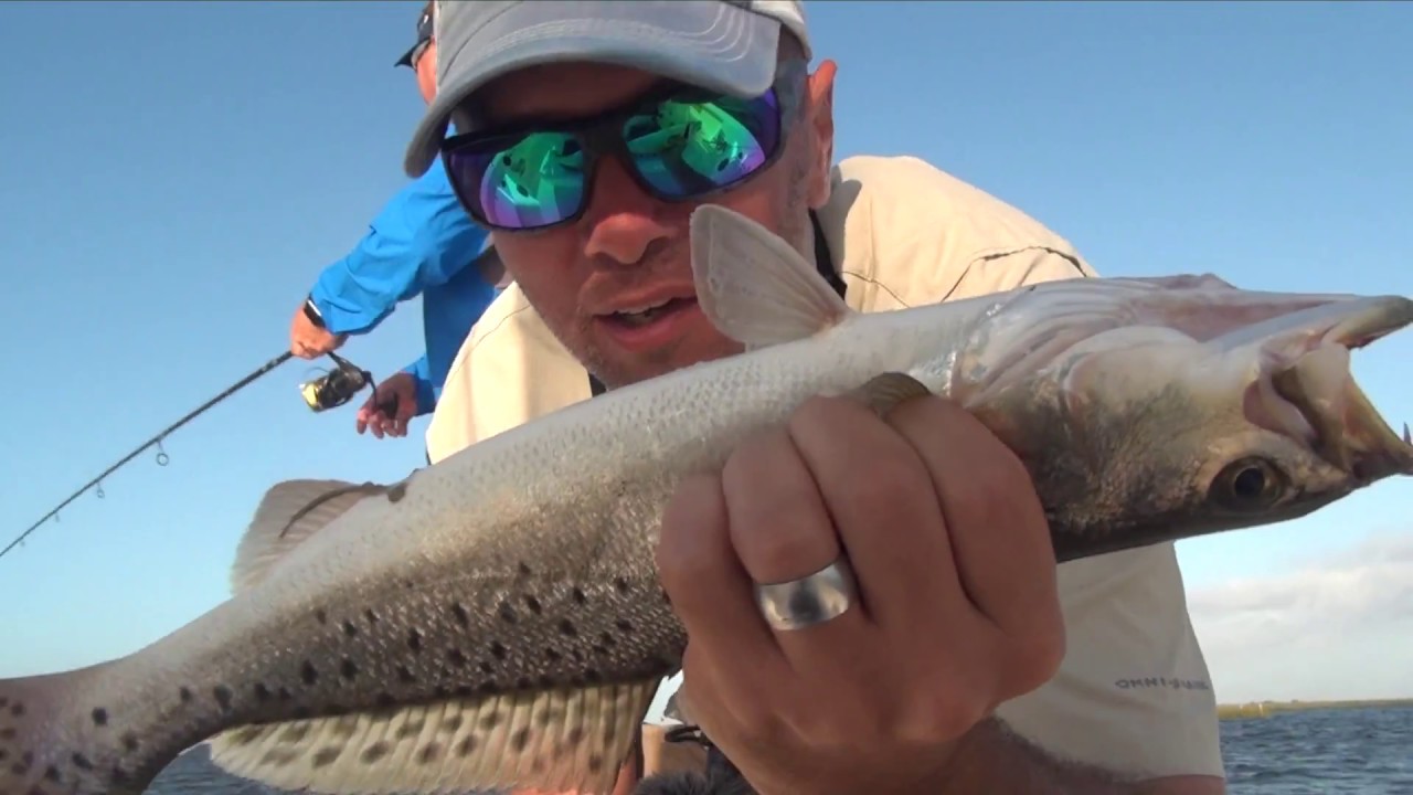Speckled trout challenge live shrimp vs. artificials YouTube