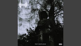 Black Cats (feat. sadplague)