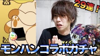 【パズドラ】モンハンコラボ29連した結果…