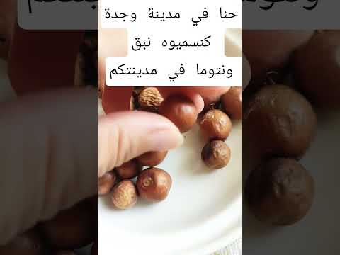 فاكهة النبق مفيد للصحة الجسدية غني بالفيتامينات والمعادن يساعد على تقوية المناعة تحسين الهضم