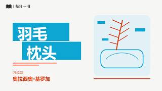 《羽毛枕头》关于爱、疯狂和死亡的故事