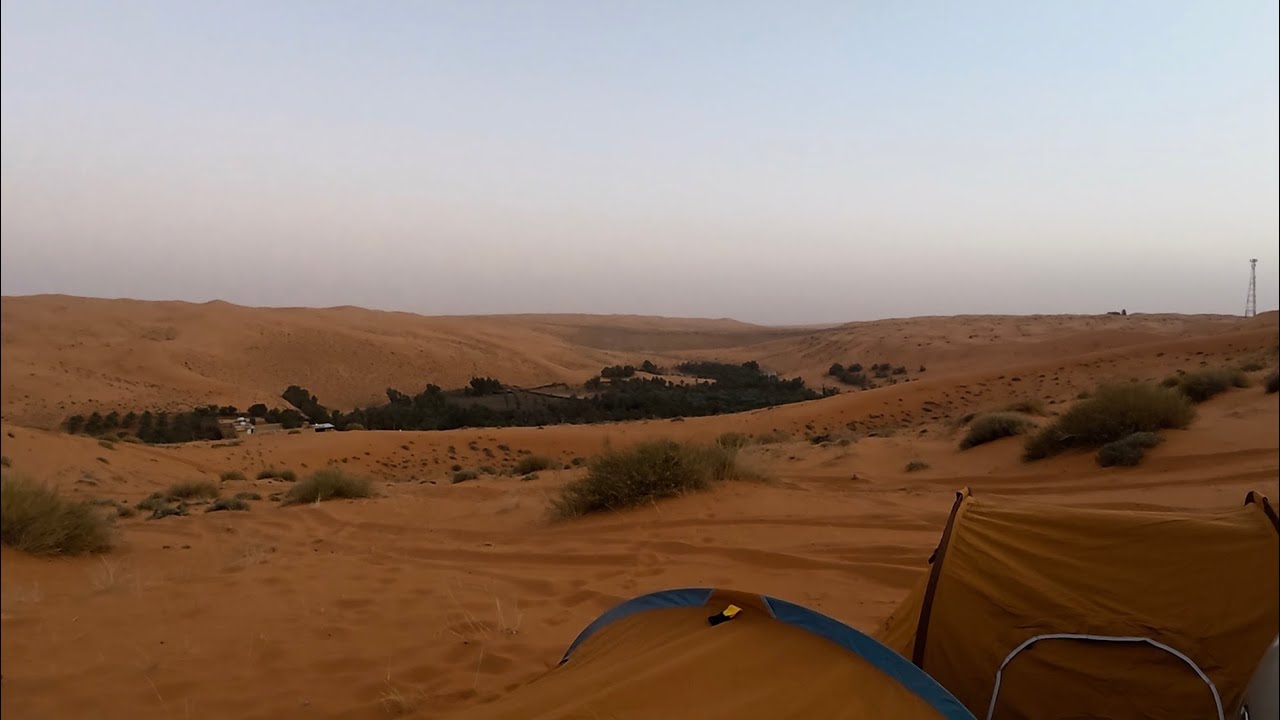 شعيب بقر بالقرب من الارطاوية و نفود المنسف بنفود الثويرات بالقرب من الزلفي 30 يناير 2026