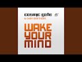 Miniature de la vidéo de la chanson Wake Your Mind (Extended Mix)