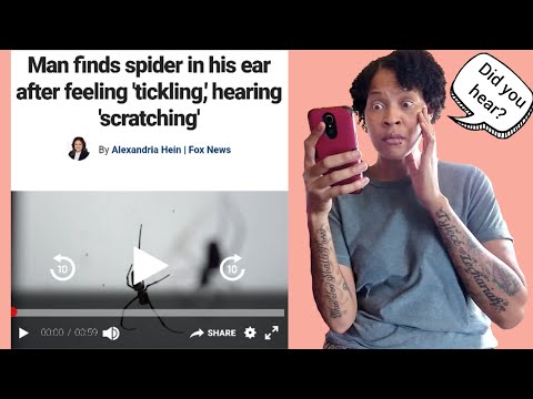 Olive Oil Helps To Coax Ear Spider