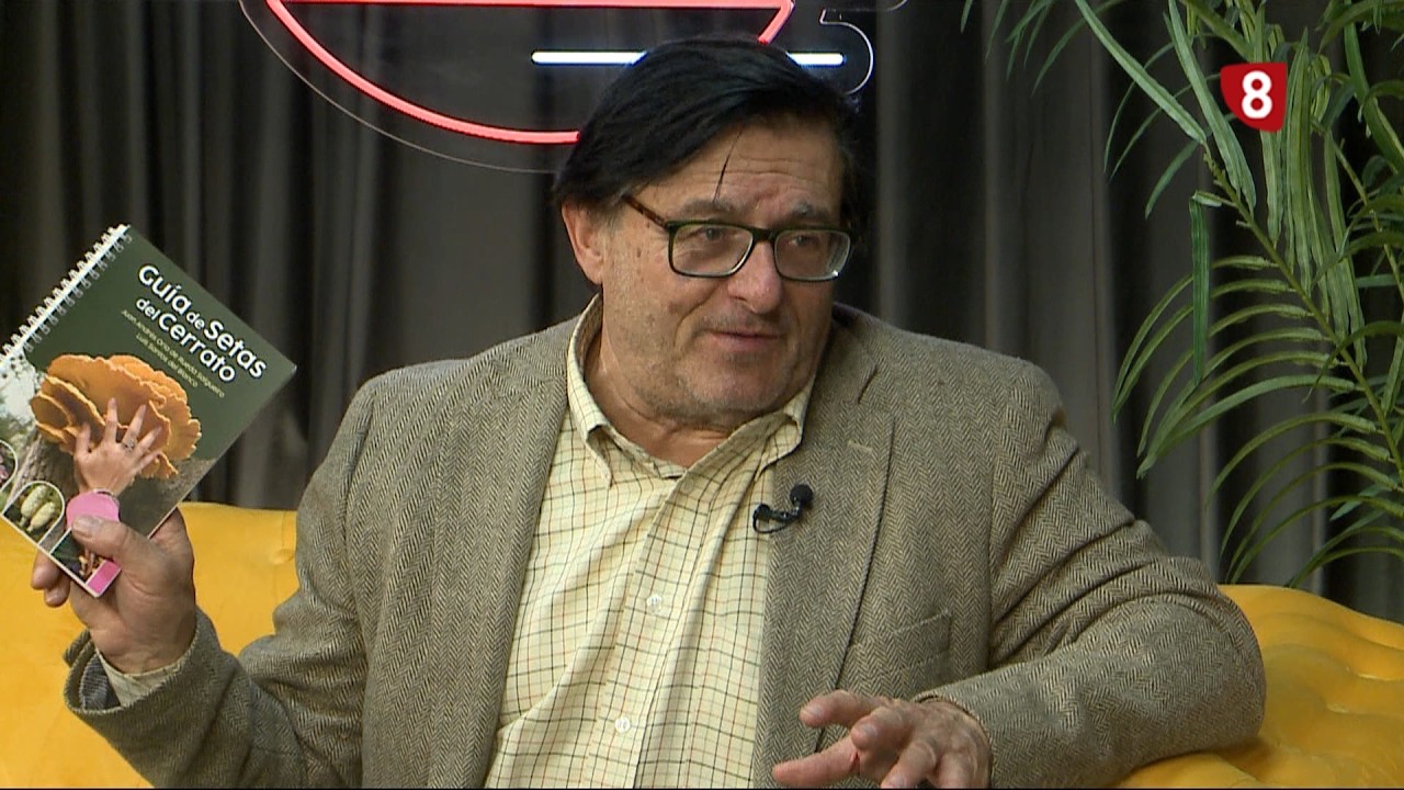 Guía de Setas del Cerrato