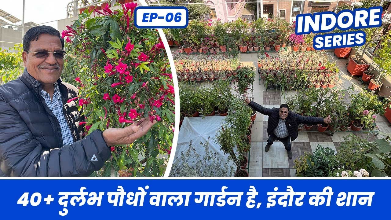 ये 40 दुर्लभ पौधे कहीं नहीं देखे होंगे 😱🪴 40+ Rare Plants Varieties of Indore Garden 😨 EP-06